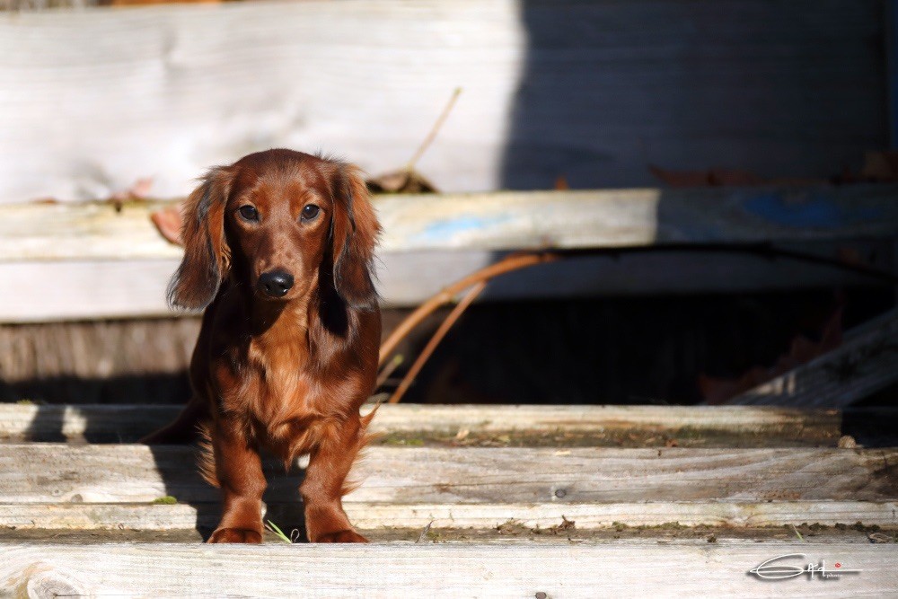 Think so luxury hermes du Chemin de L'Espoir