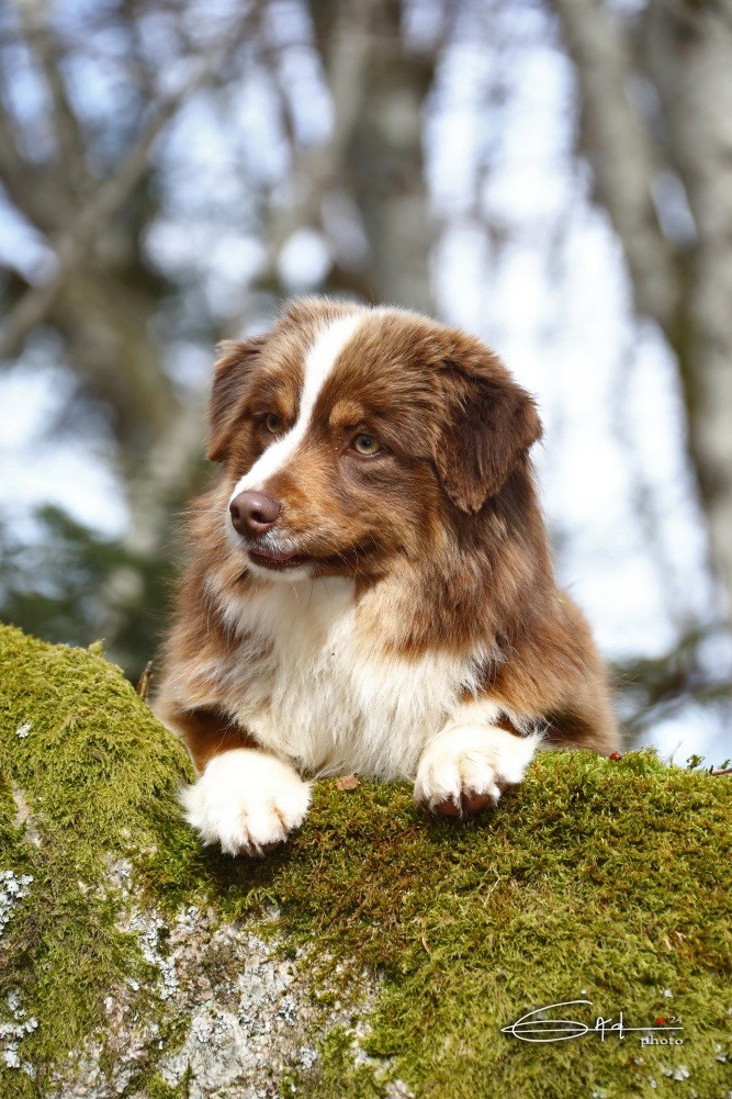 Une perle rare bijou du Chemin de L'Espoir