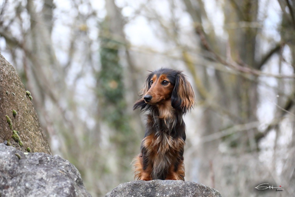Un coup de foudre mimi du Chemin de L'Espoir