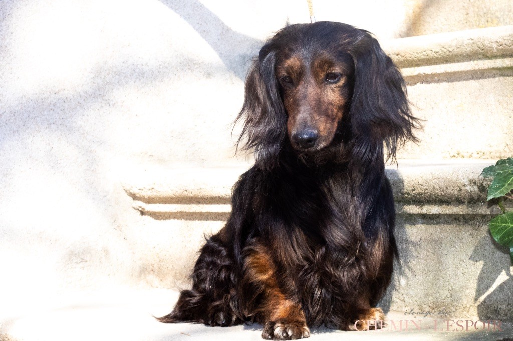 Velvet underground muni-tsenpo